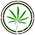 Canna Seed - Cannabissamen Hanfsamen